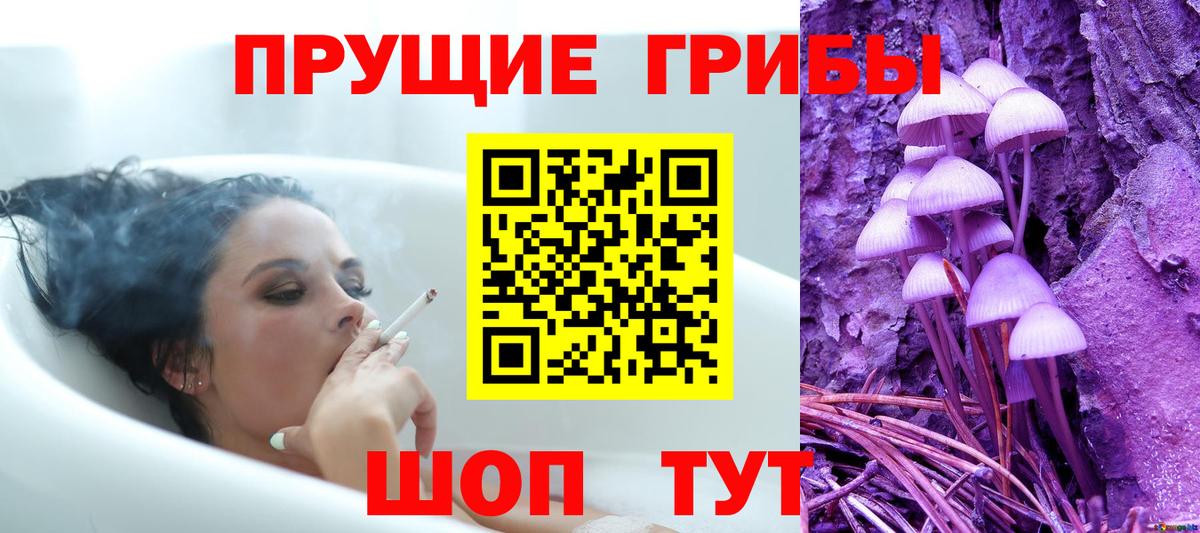 Нововоронеж  Галлюциногенные грибы мухоморы  Галлюциногенные грибы GOLDEN TEACHER  Вход с VPN 